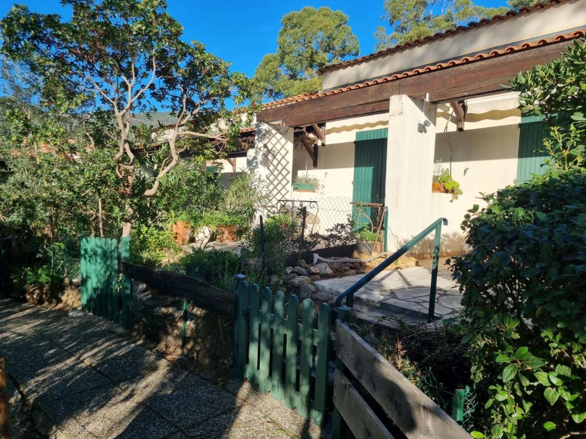 Studio Mas De La Plage By Interhome Cavalaire-sur-Mer Exterior foto